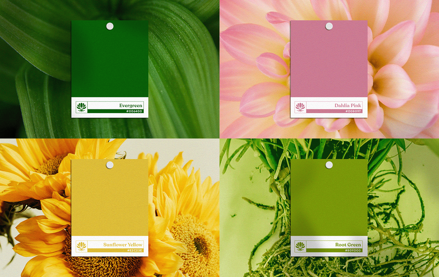 Color palette for Root & Bloom