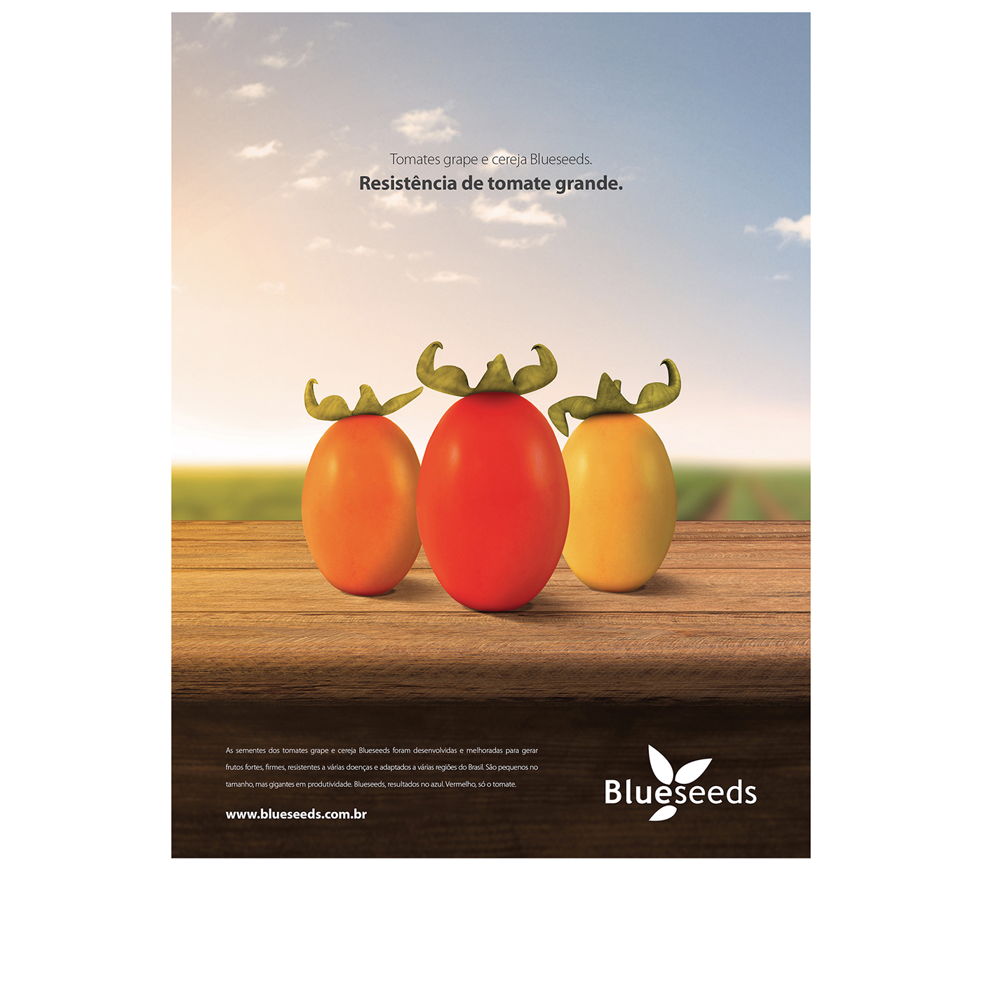 Tomato strong tomate grande FORTE Agribusiness Agro Agronegócio ad anúncio