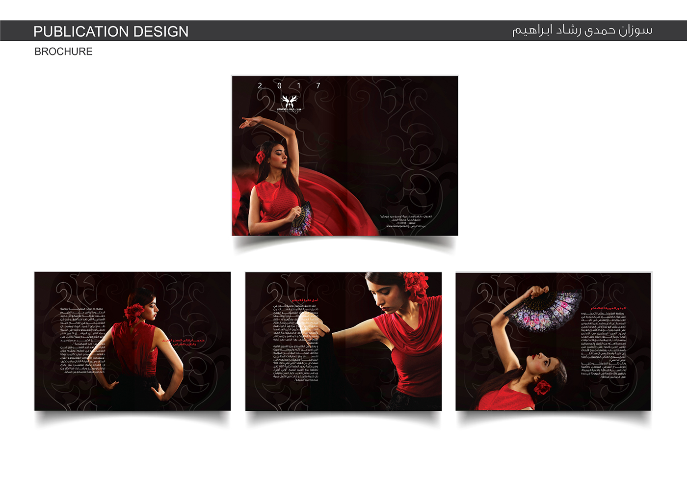 Flamenco graduation project identity graphic design  flamenco dance