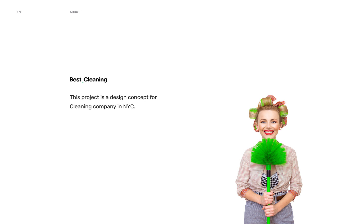cleaning company UI ux Web
