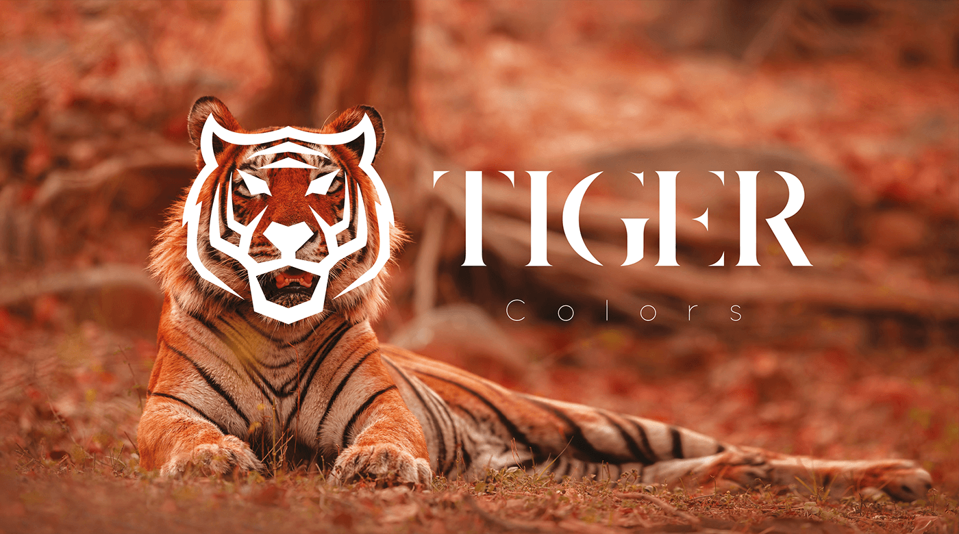 Logo Design brand identity visual identity fabric colorful paints tiger dyes powder product sharpness