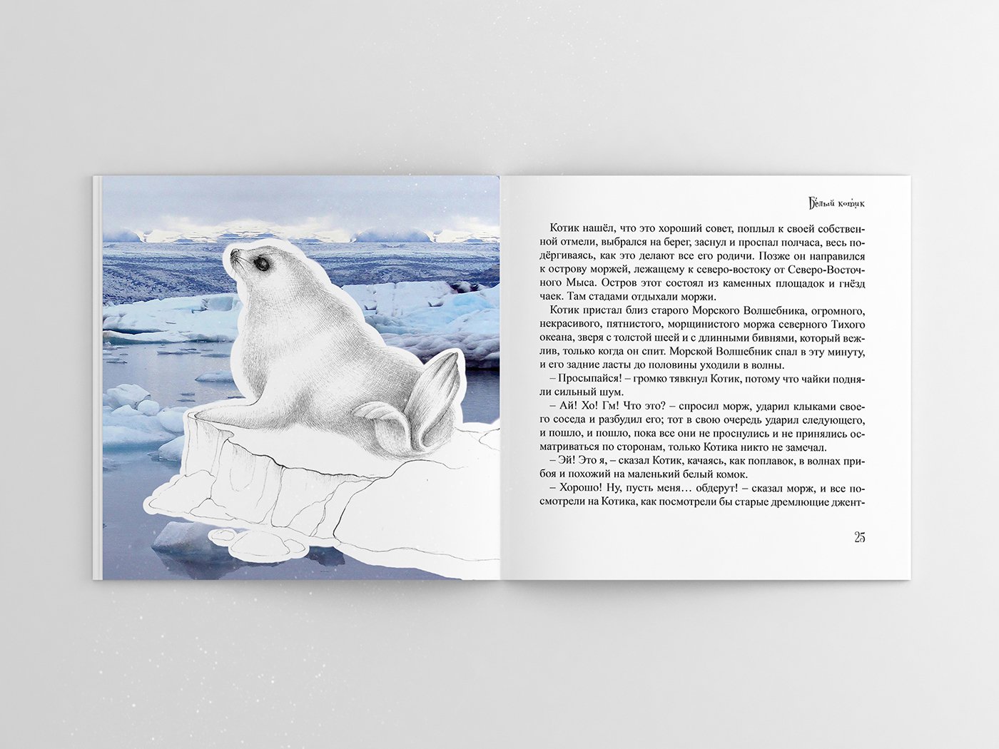 design book ILLUSTRATION  graphic design  seal white seal children book Ocean chracter Character design 