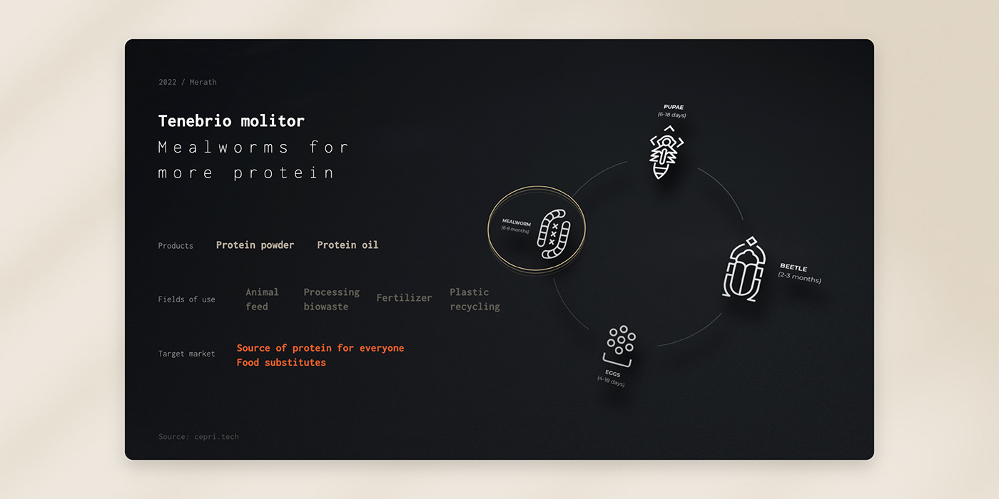 art direction  ux/ui branding  concept visual identity farm future food Insects automation Technology