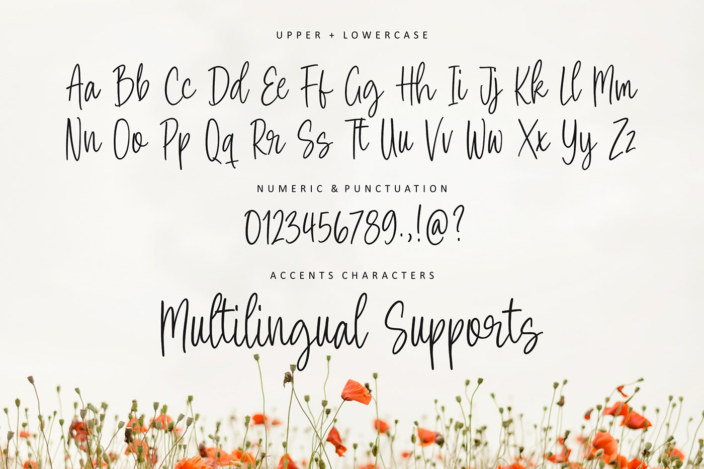 handwriting font Typeface typography   Script Calligraphy   type lettering fonts Script Font