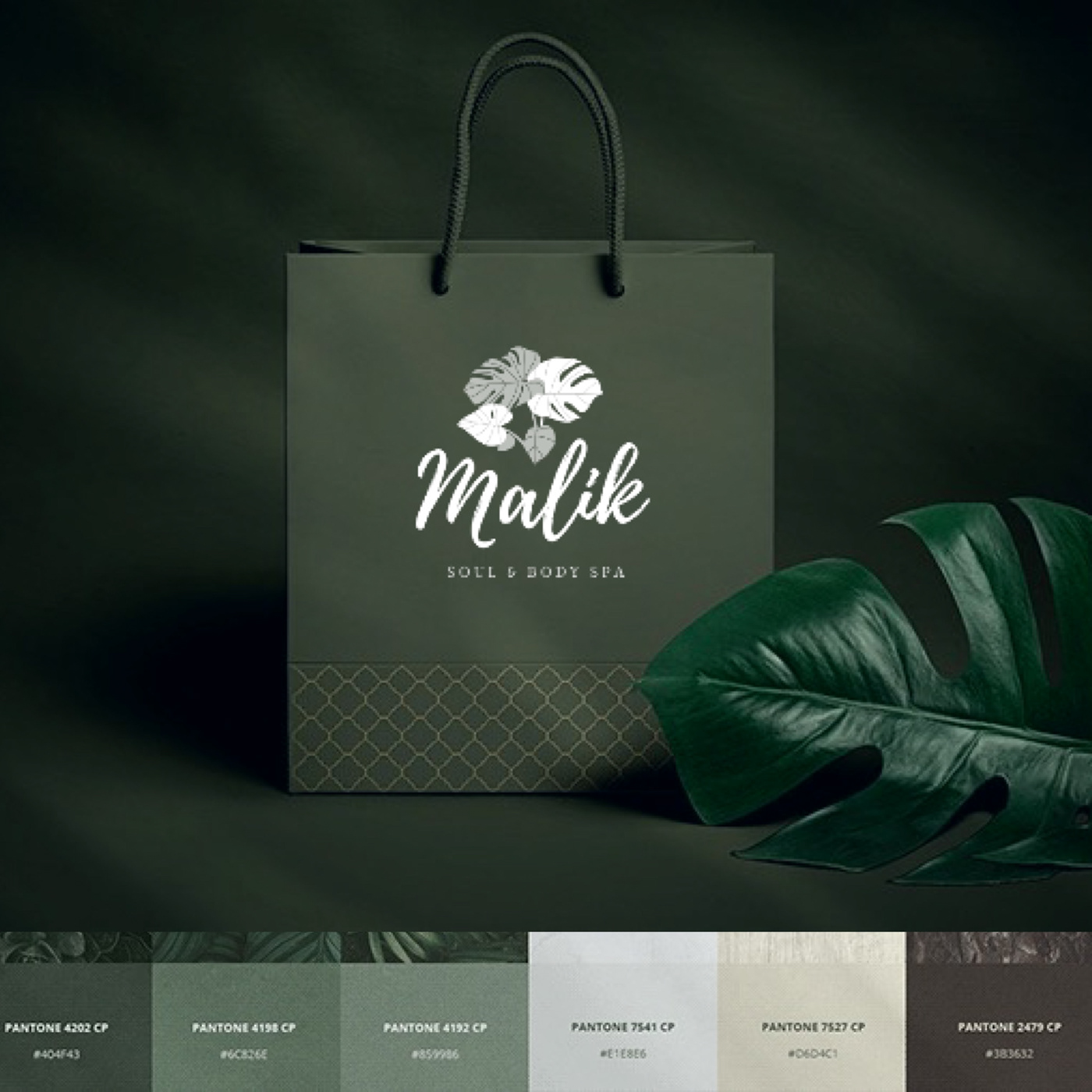 branding  design green leaf Mockup Packaging Photography  Spa