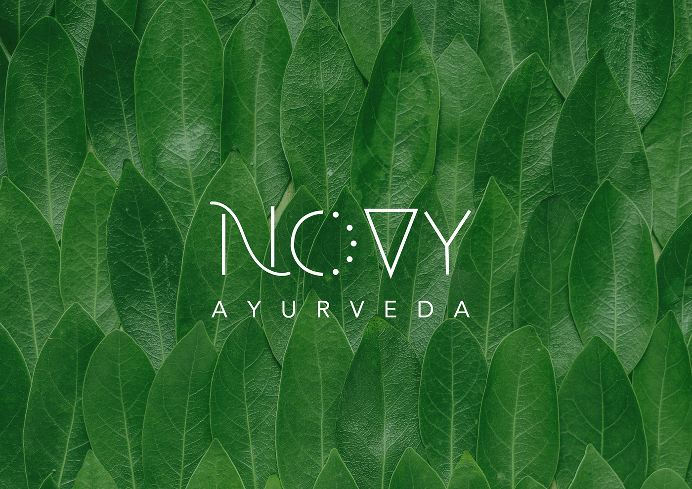 ayurveda brand branding  design logo logodesign Visual Branding