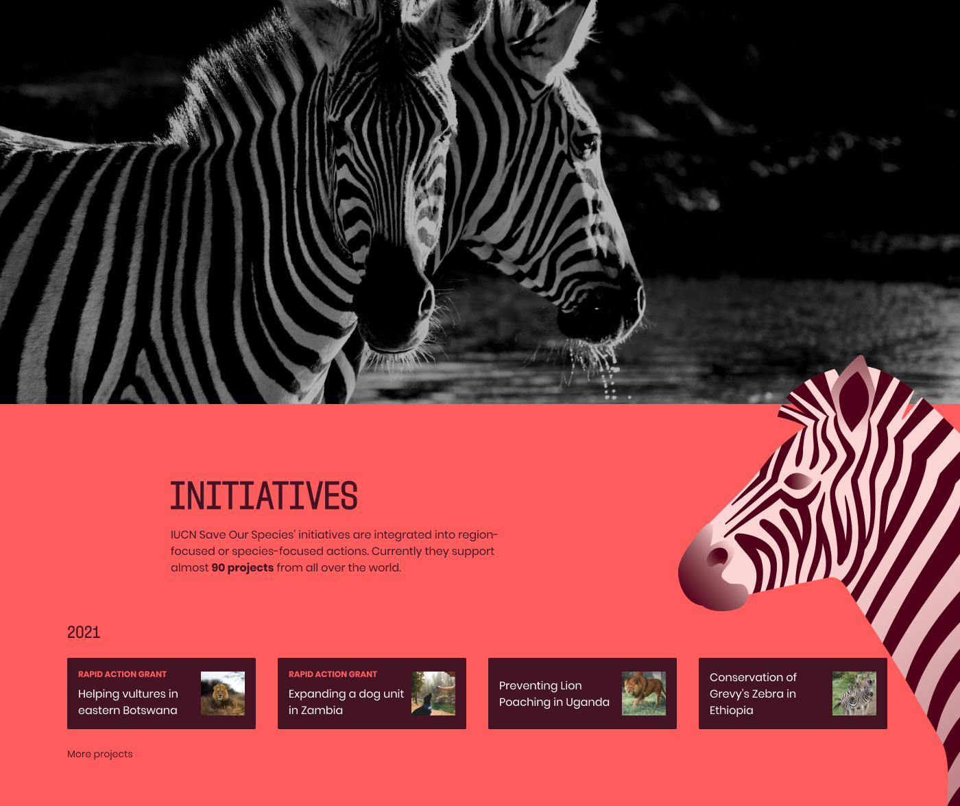 animals domino effect donation interactive map plants projects UI/UX Web Design 