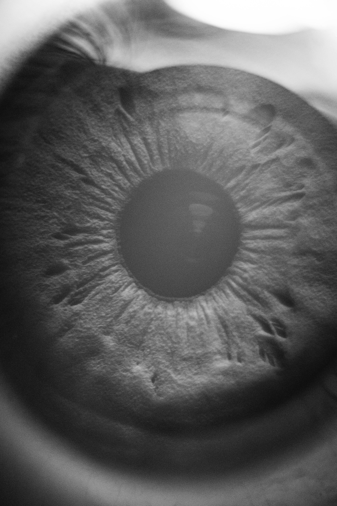 eyes macro Photography  photoshoot Macro Photography black and white color eye
