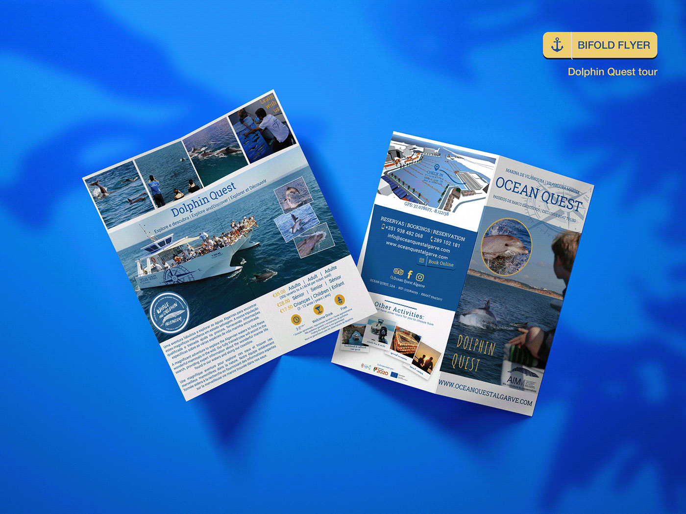 Advertising  Boat Party Boat Trips Cave exploration coastline Dolphins flyers responsive website sea tourism