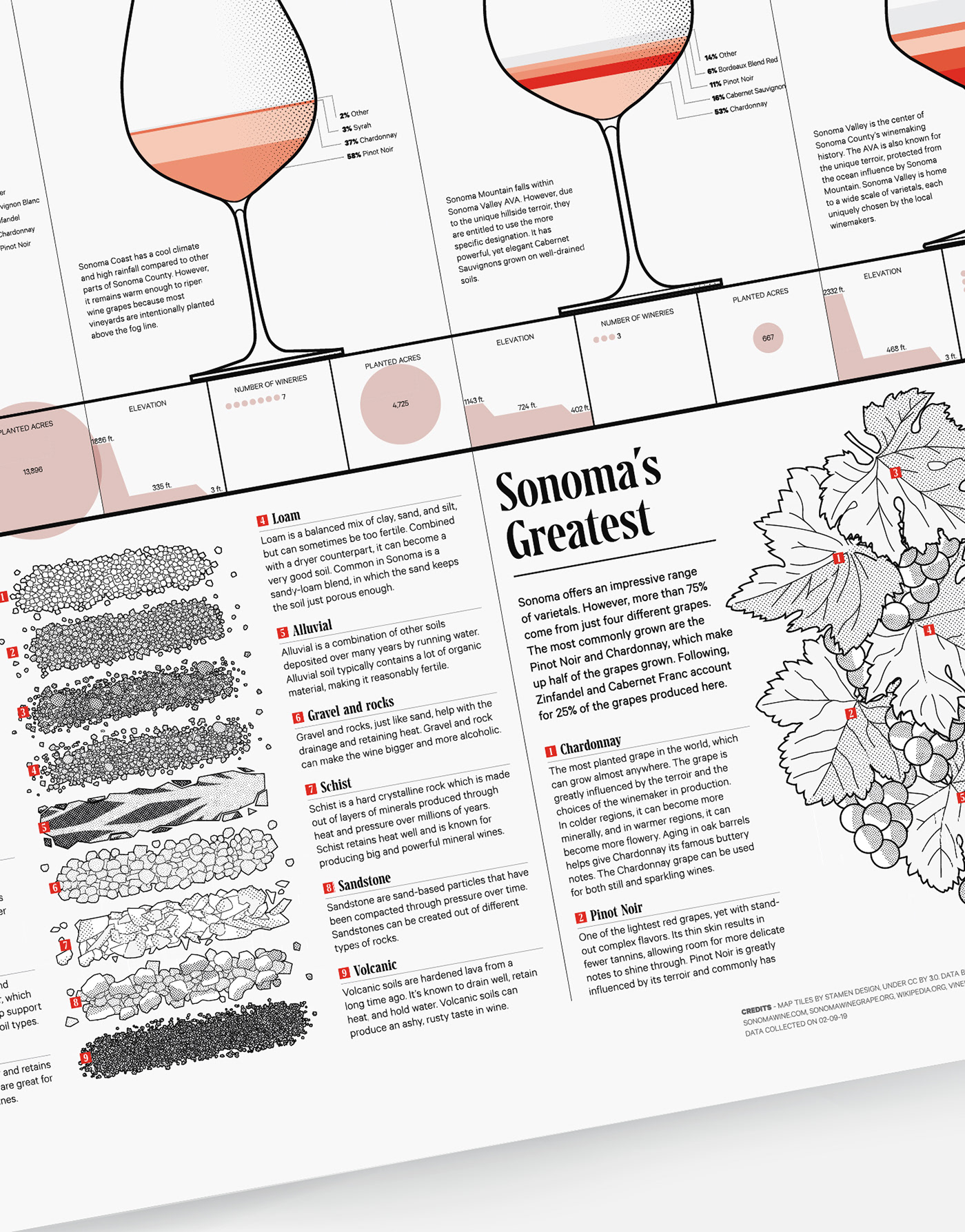 infographic wine sonoma poster data visualization winery beverage information design Nappa grapes