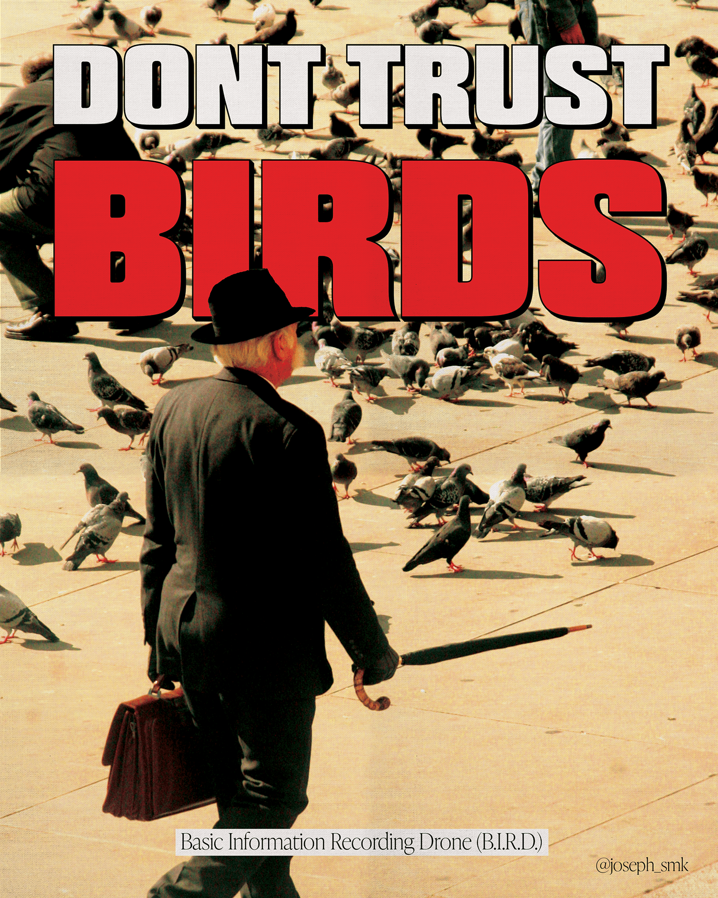 don't trust birds joseph_smk funny humor Digital Art  Graphic Designer poster Social media post