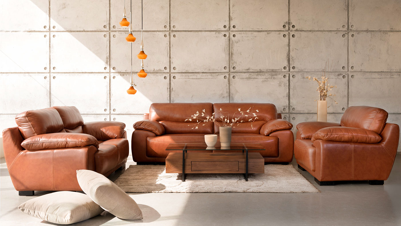 Nikon living room luxury furniture Interior relax