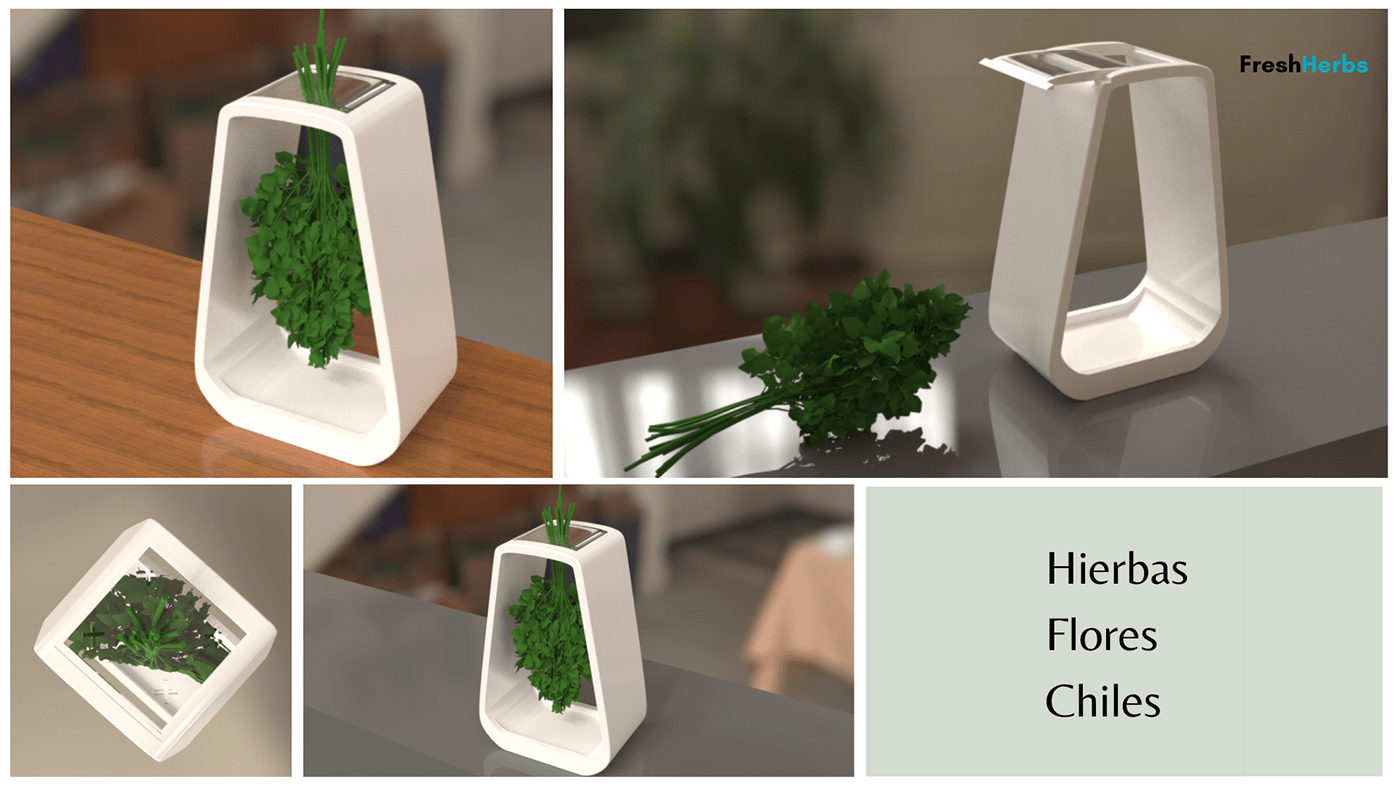 diseño de producto hierbas hogar secado