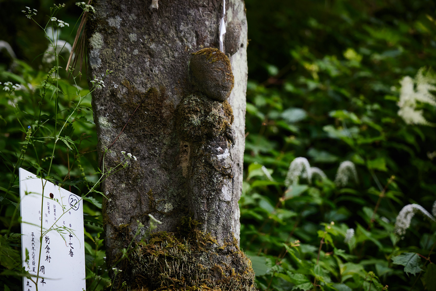 3D Buddha calture figure forest green japan japanese Nature statue