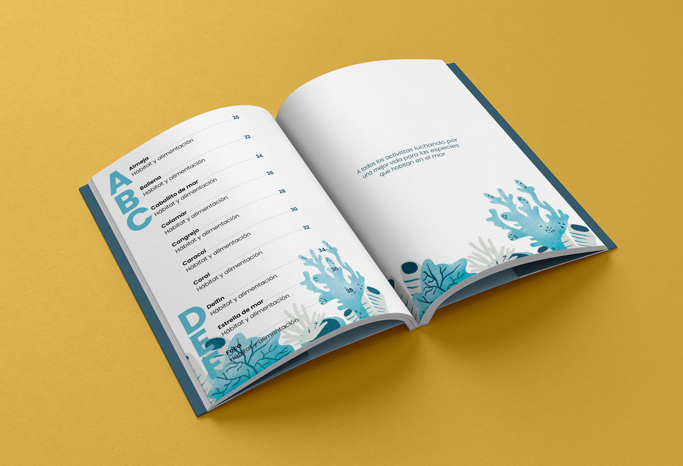 book editorial design InDesign adobe illustrator Graphic Designer