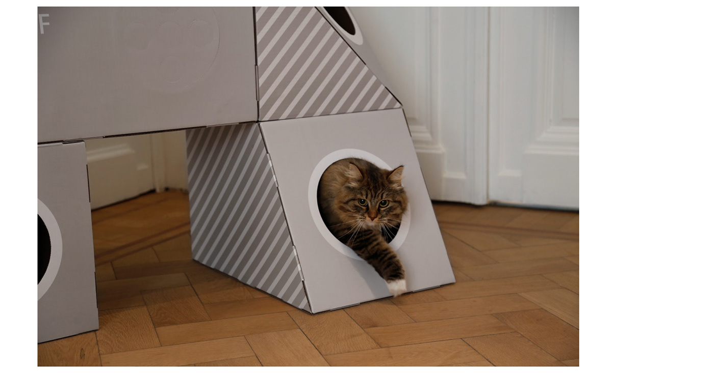 pets Cat cardboard playfull modular