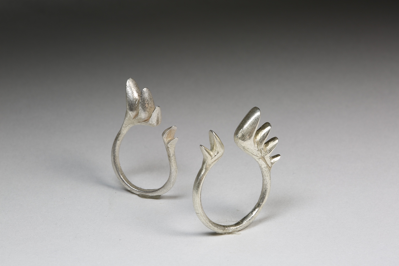 jewelry Jewelry Design  rings silver cad cast Rhino
