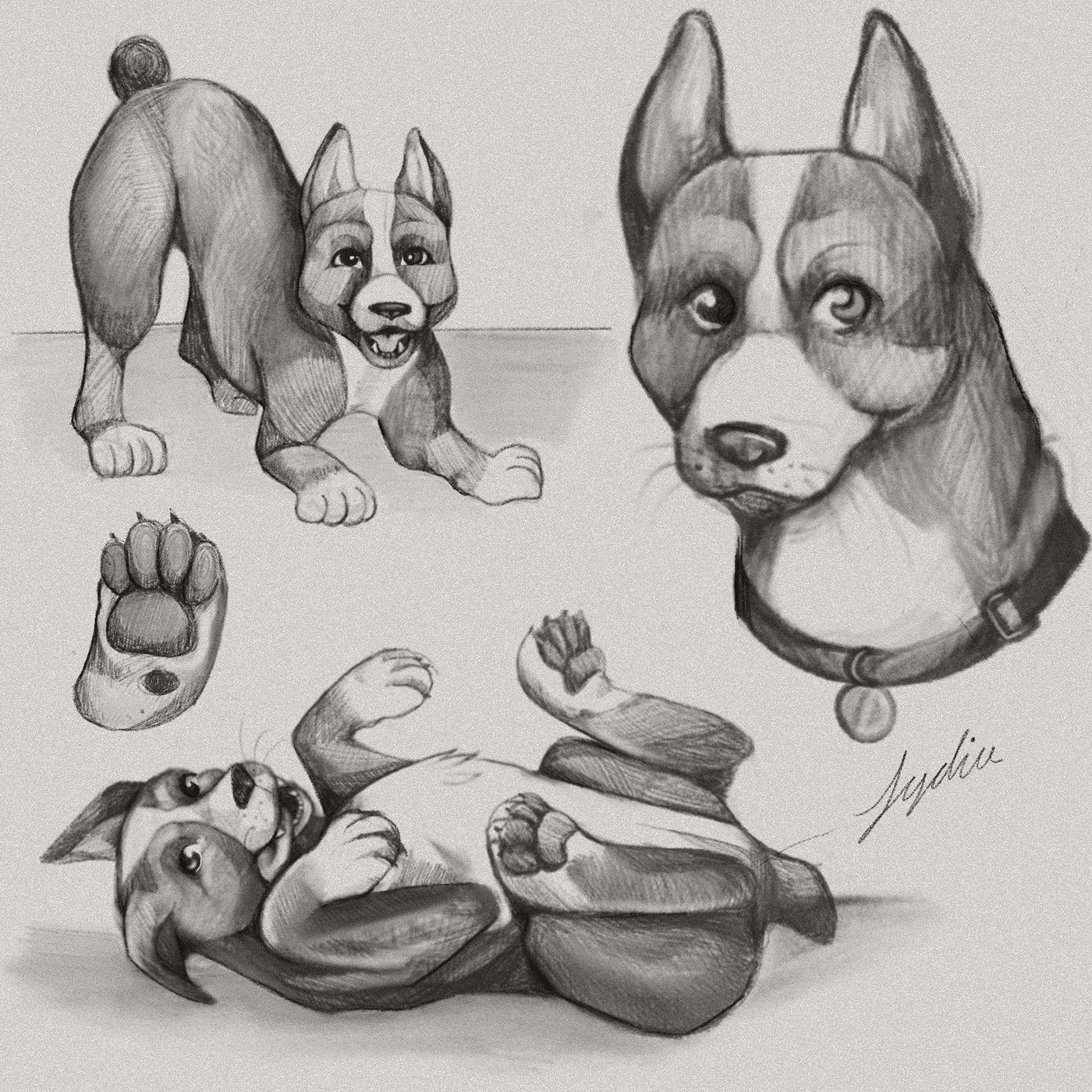 dog ILLUSTRATION  Character design  children's book children book children illustration cartoon concept art digital illustration