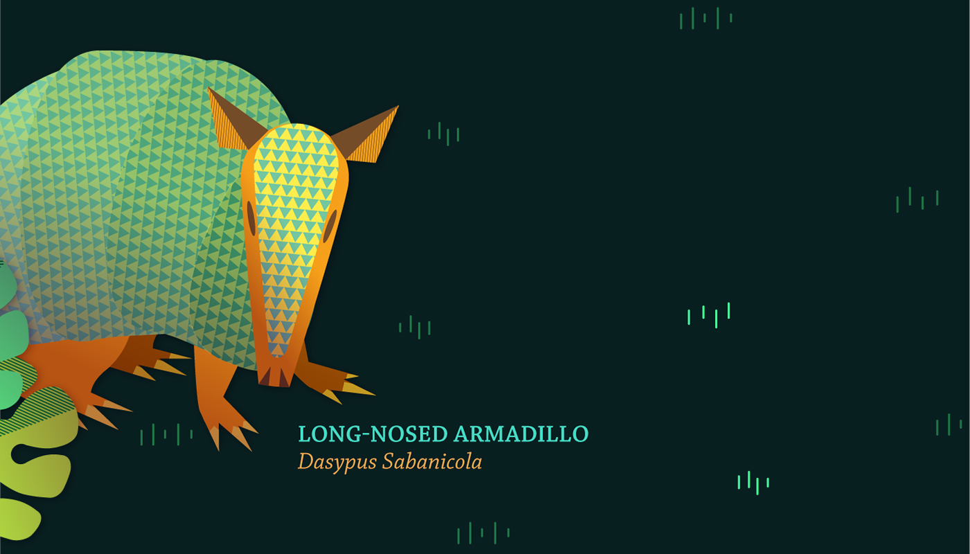 animals animal nahuatl mask t-shirt notebook synthesis