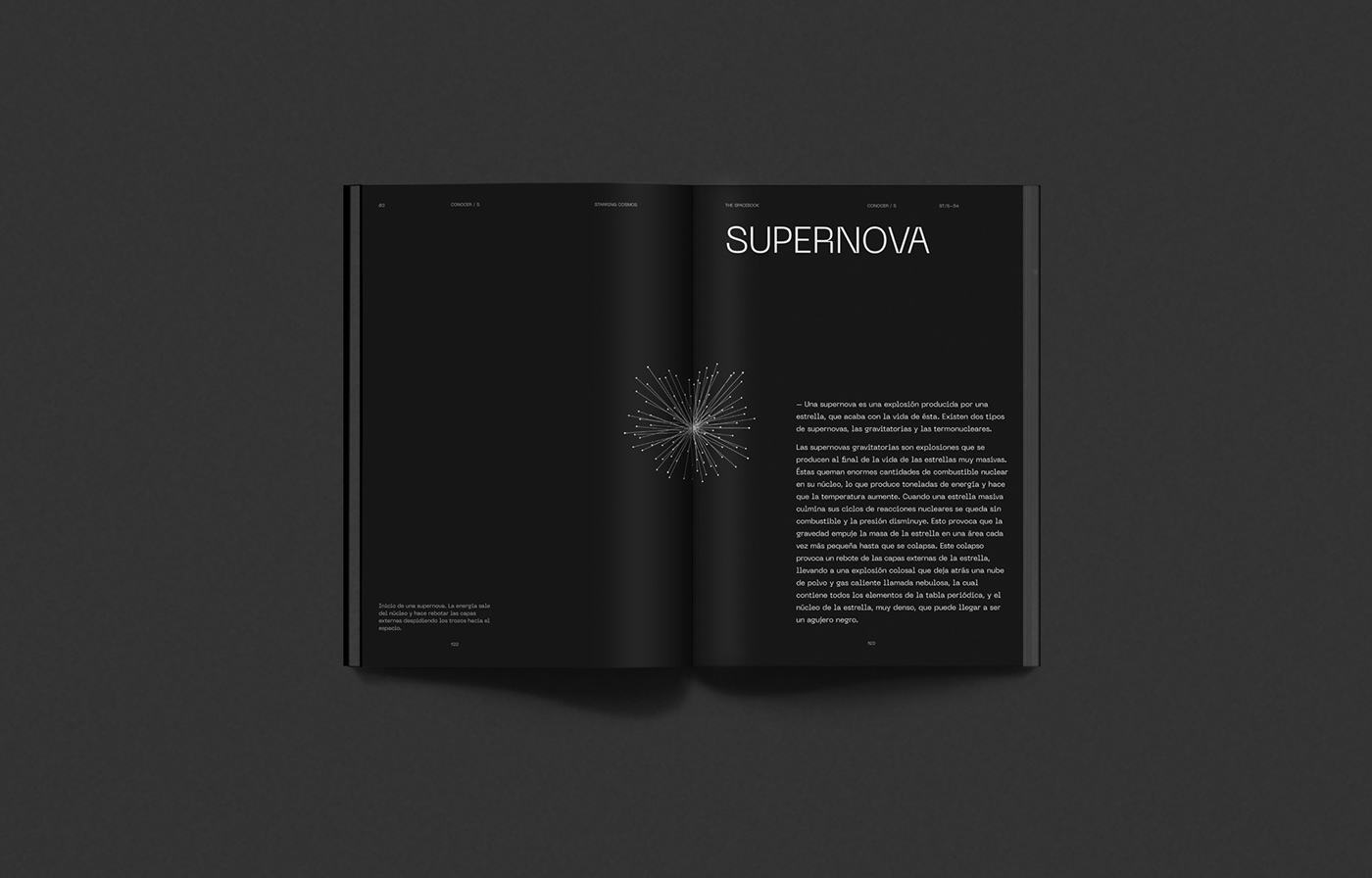 art direction  Astrophysics book Diseño editorial editorial física ILLUSTRATION  ilustracion libro universo