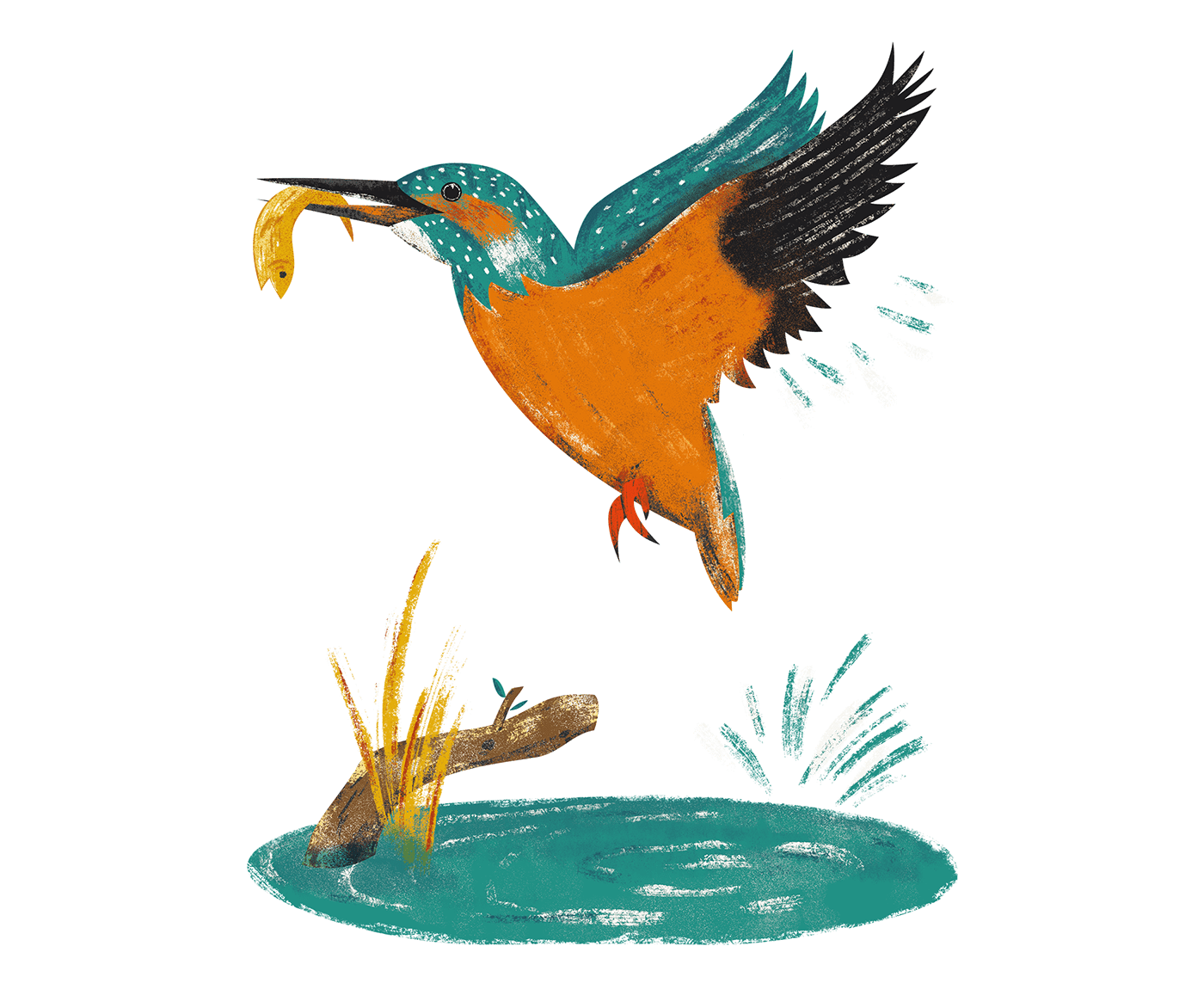 illustrations book children kidlit animals birds reptiles Nature history curriosities