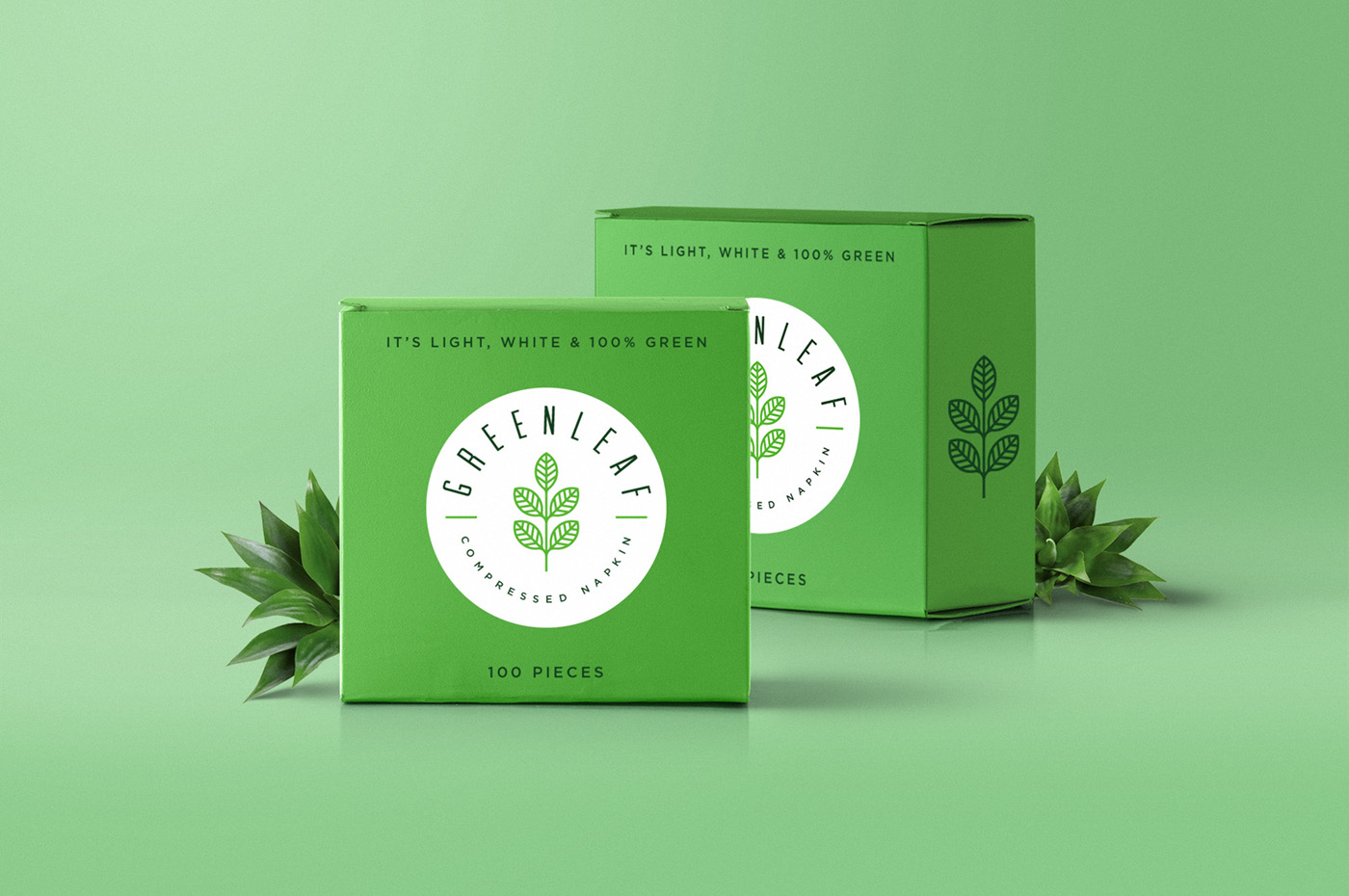Packaging branding  graphic design  leaf logo Icon pantone illustrated packaging product identity Corporate Identity
