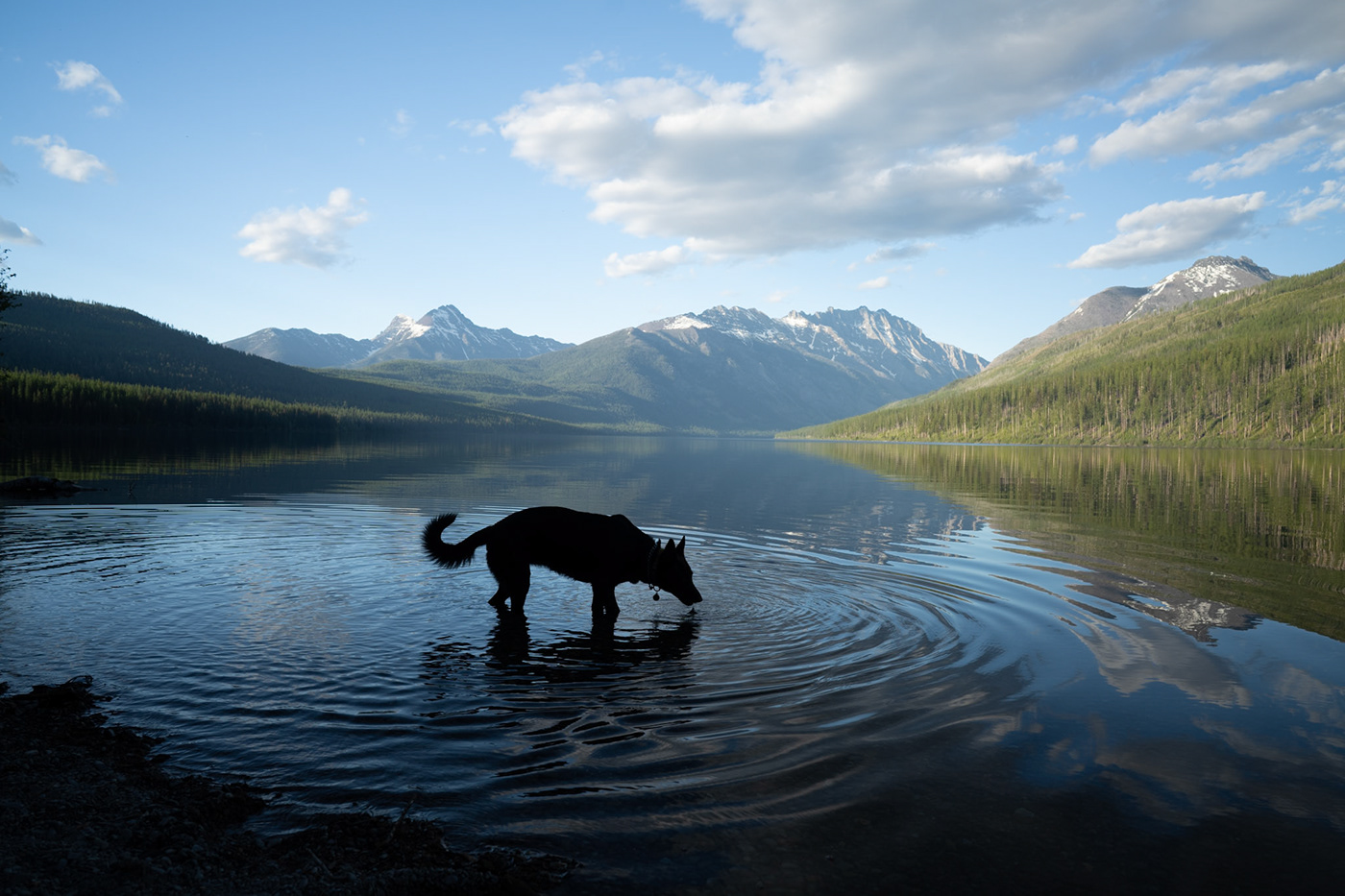 glacier national park Melanie Boling Imagery Beyond Borders Landscape mountains dog german shepherd Montana