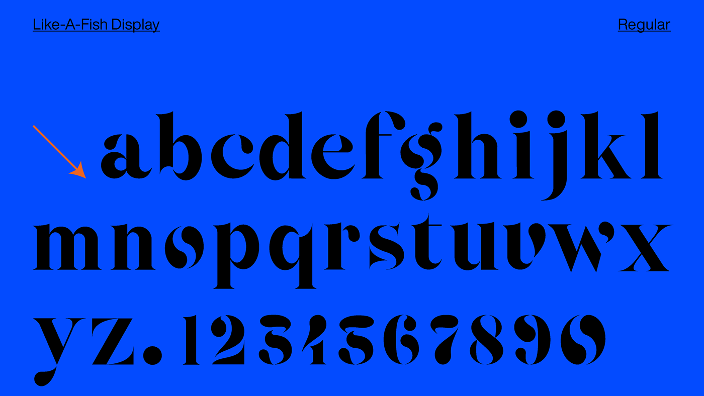 Typeface Typography