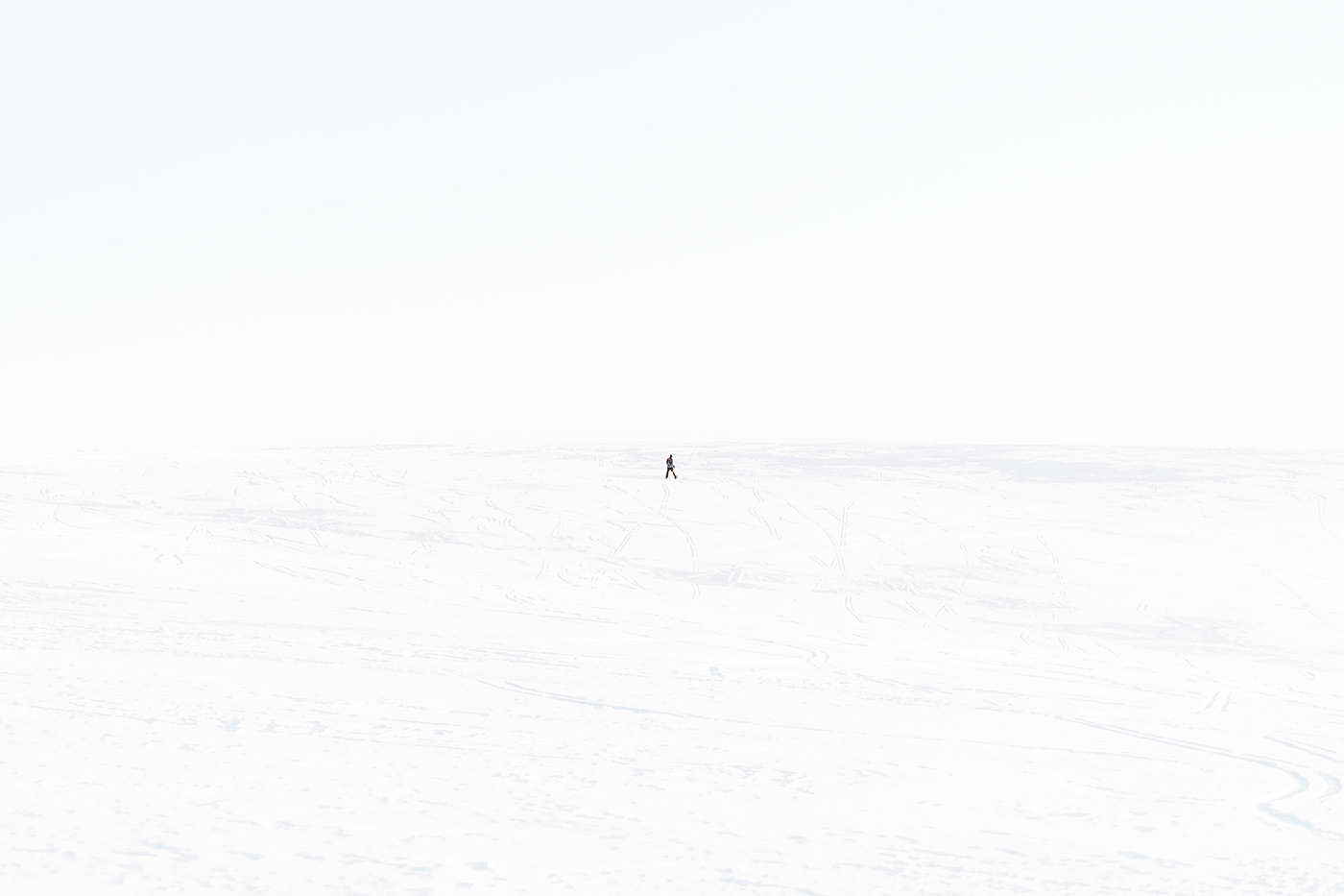 snow winter White Landscape Minimalism Outdoor minimalistic reduced cold series