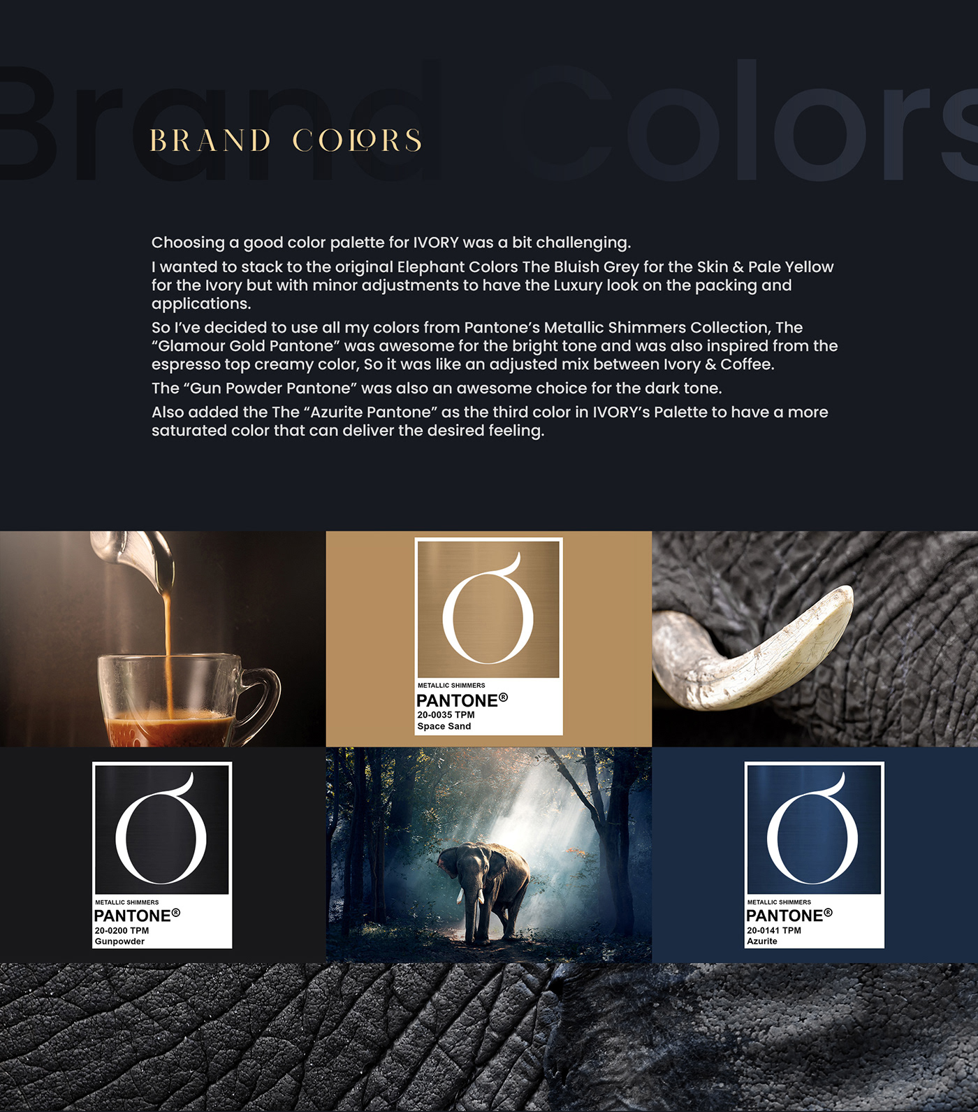 brand identity branding  cafe Coffee coffee packaging elegant elephant ivory modern pantone