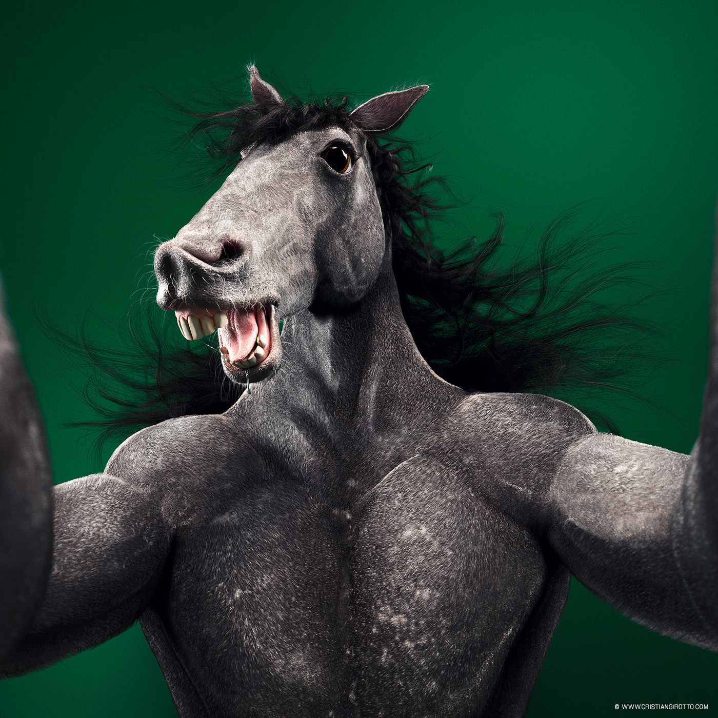 CGI retouch 3D Character design  Advertising  social animals Cristian Girotto animals selfie instagram