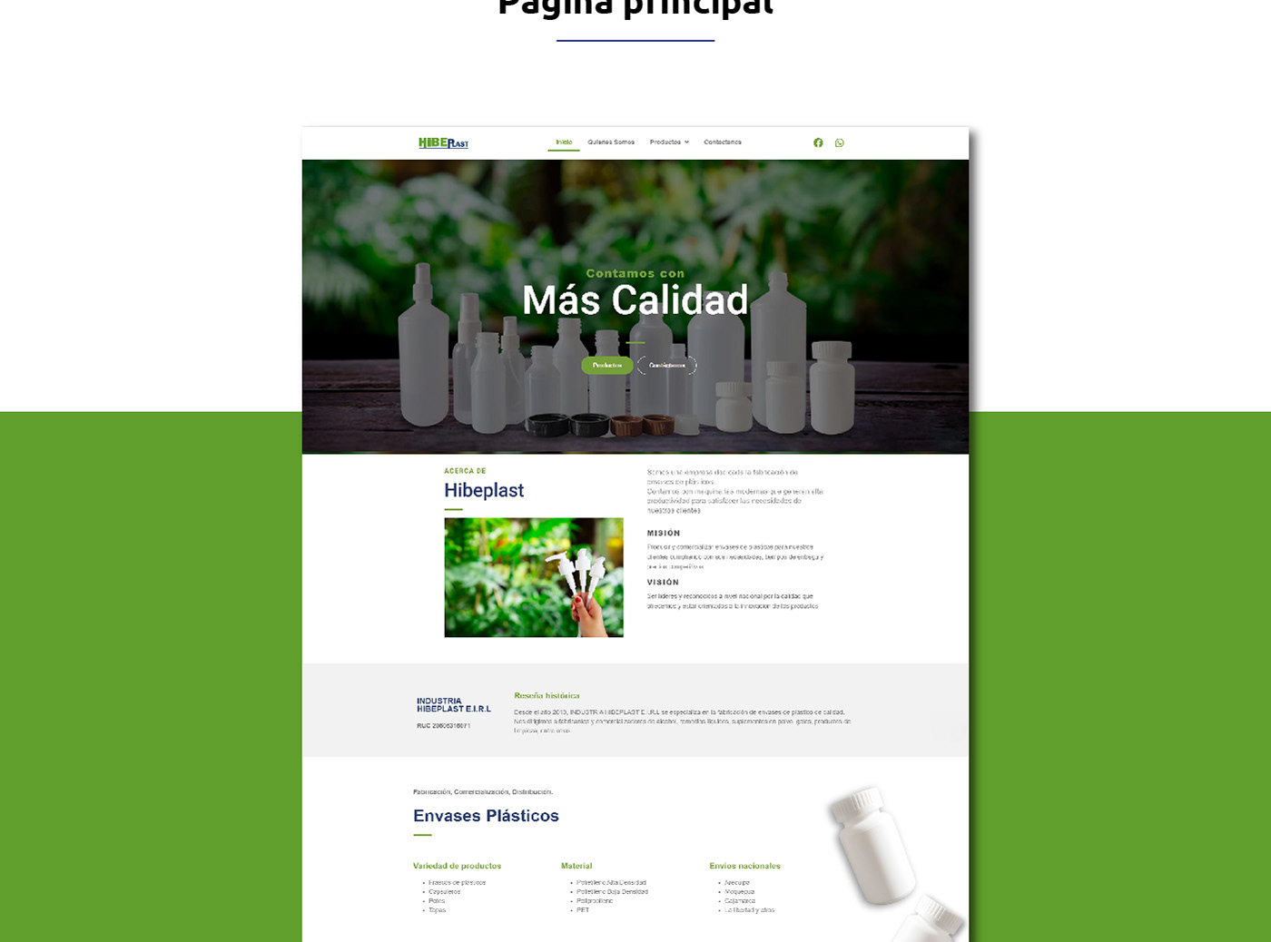 cms envase pagina web plasticos tienda Web Web Design  Website