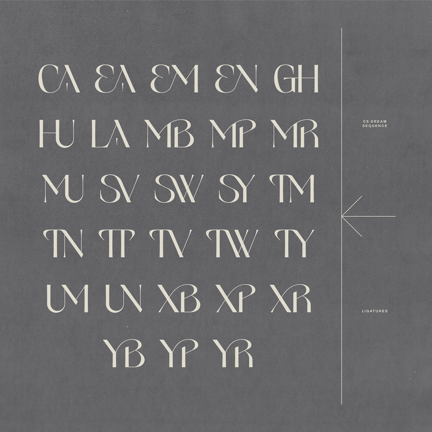 Display display font experimental font Typeface modern font ligature elegant type design font design