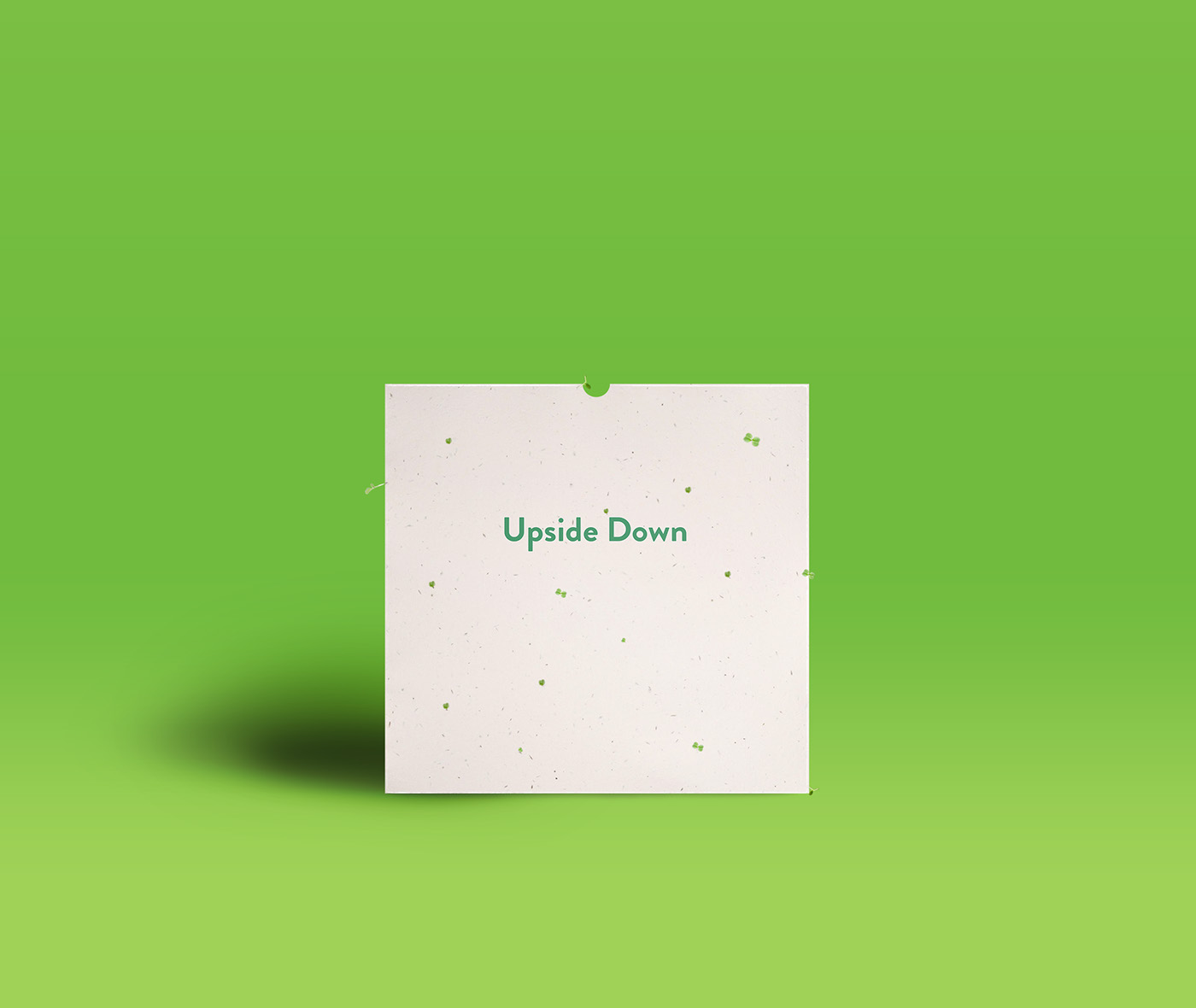 upside down Packaging Design de Embalagem mupi dandelion faith Changes comercial lenticular vinyl
