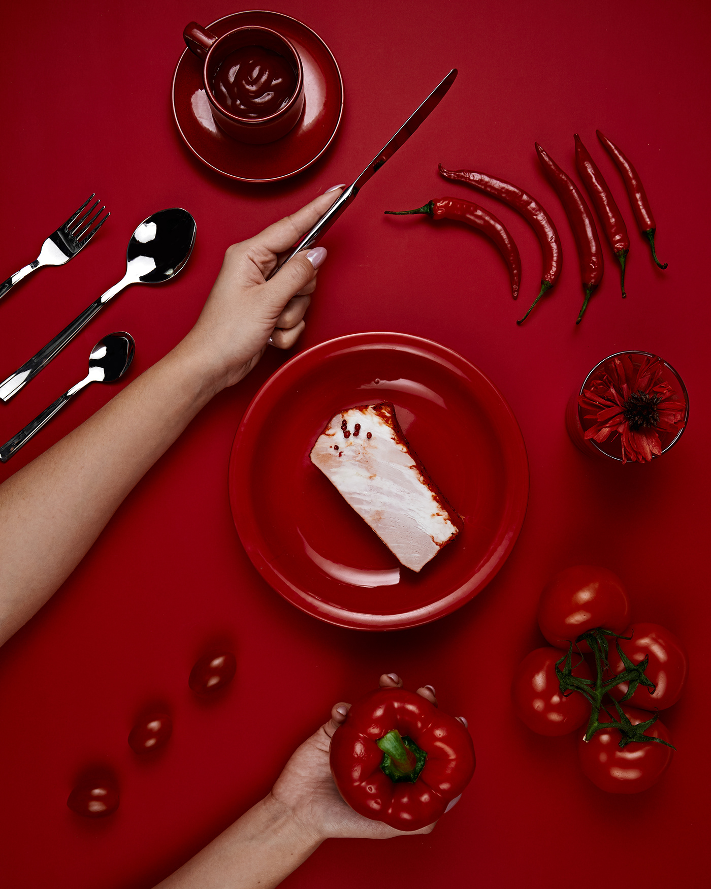 Food  Advertising  foodporn flatlay meat surrealism creative pattern foodphotography