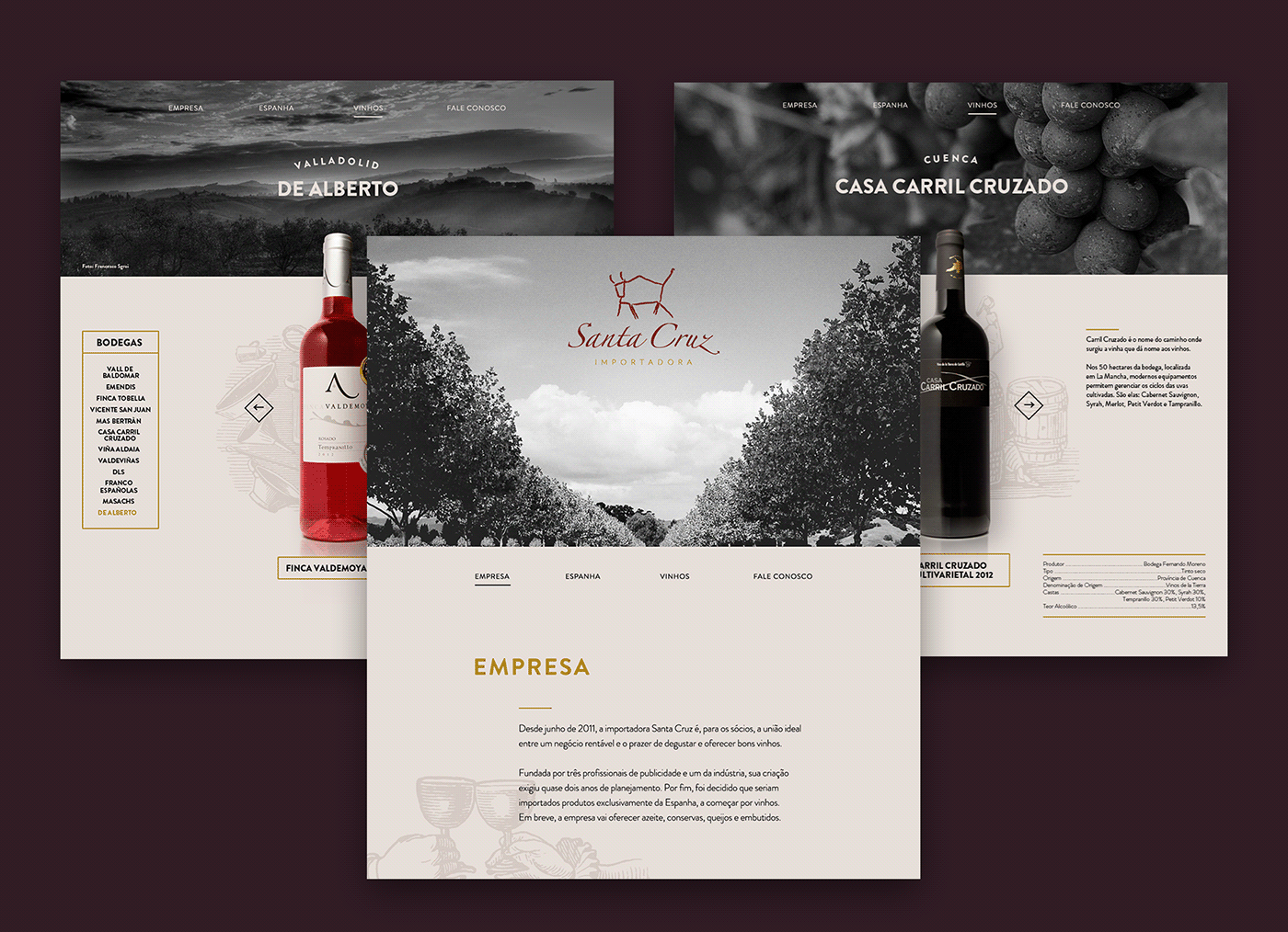 wine vinho espanhol spanish santa cruz santa cruz importadora site ui design UI/UX UX design