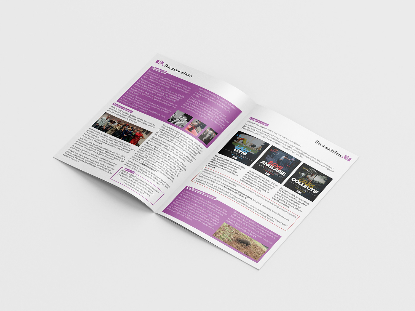 print brochure magazine InDesign