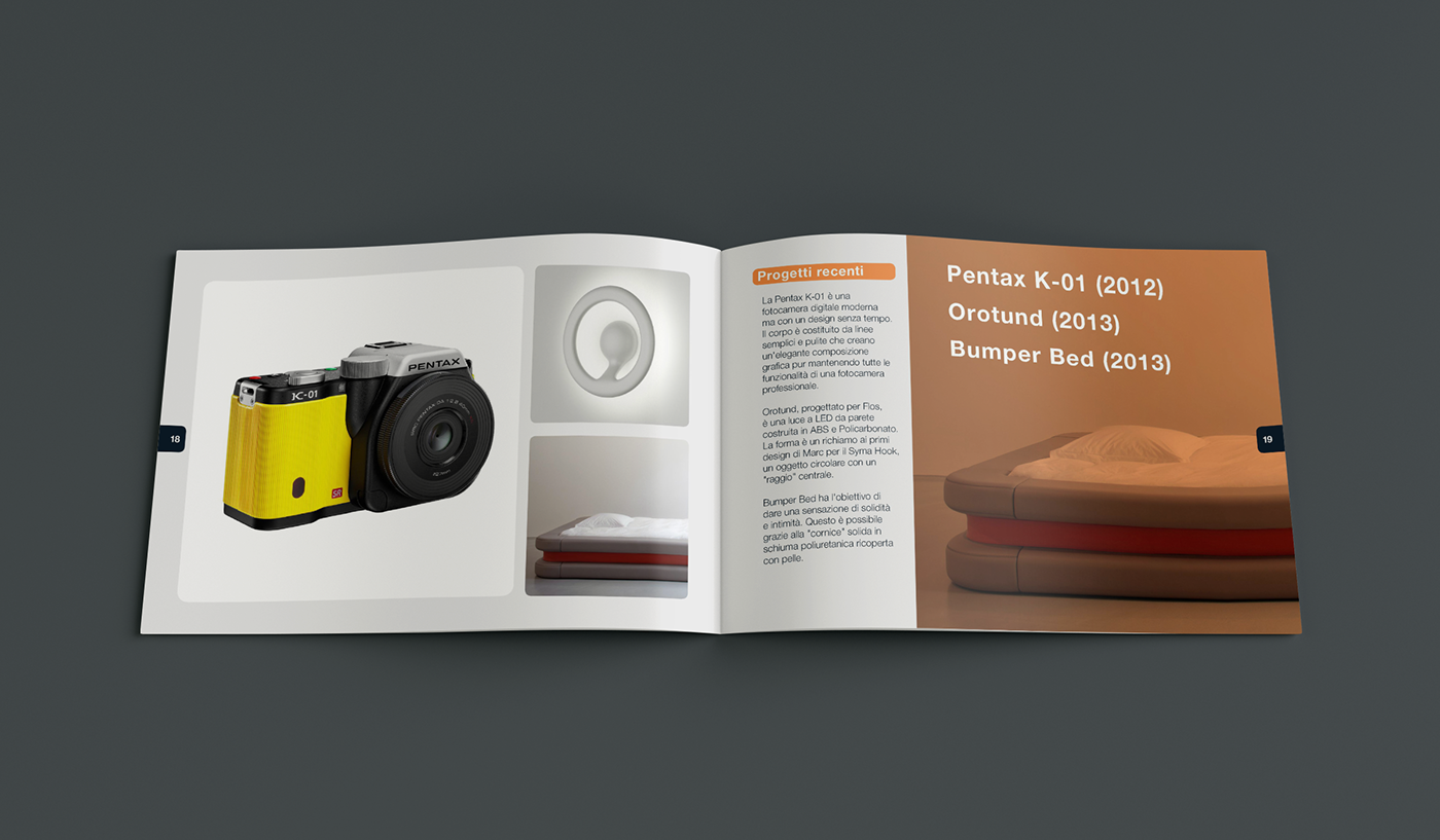 portfolio graphic graphic design  graphics exercise Adobe InDesign
