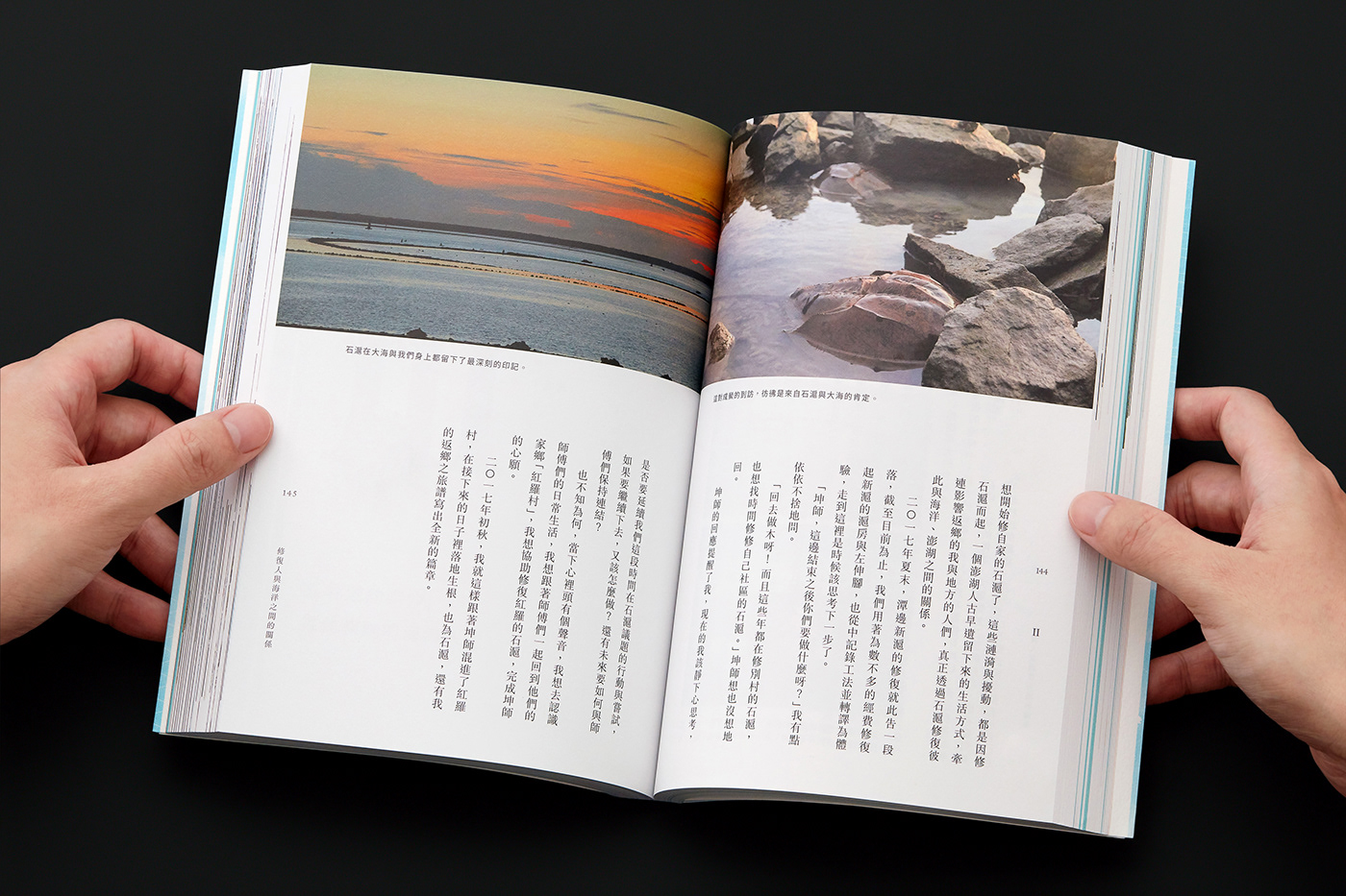 Layout book book design publication