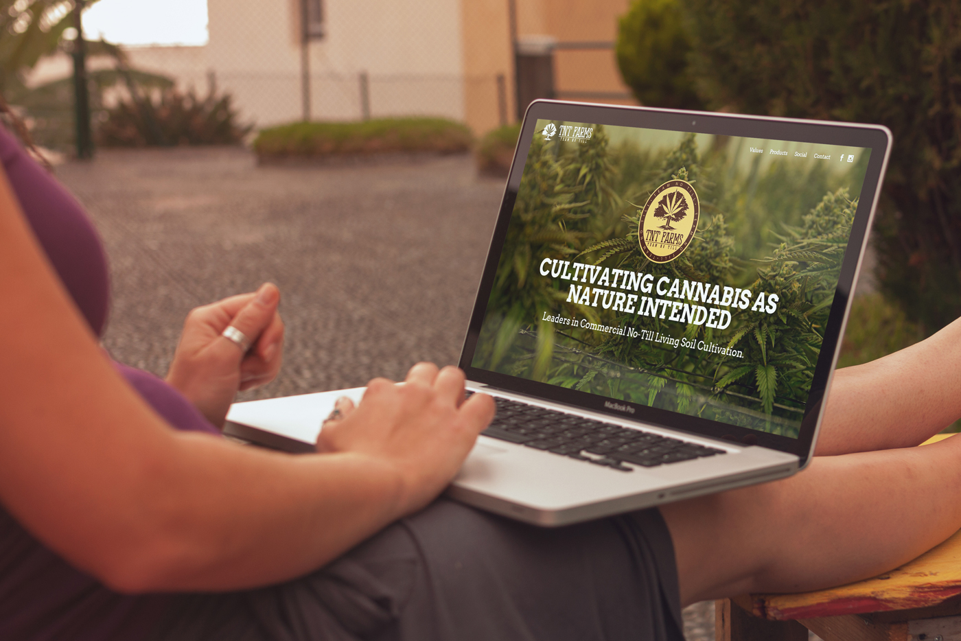 marijuana cultivation marijuana website user experience Wordpress Design wordpress Web Design 