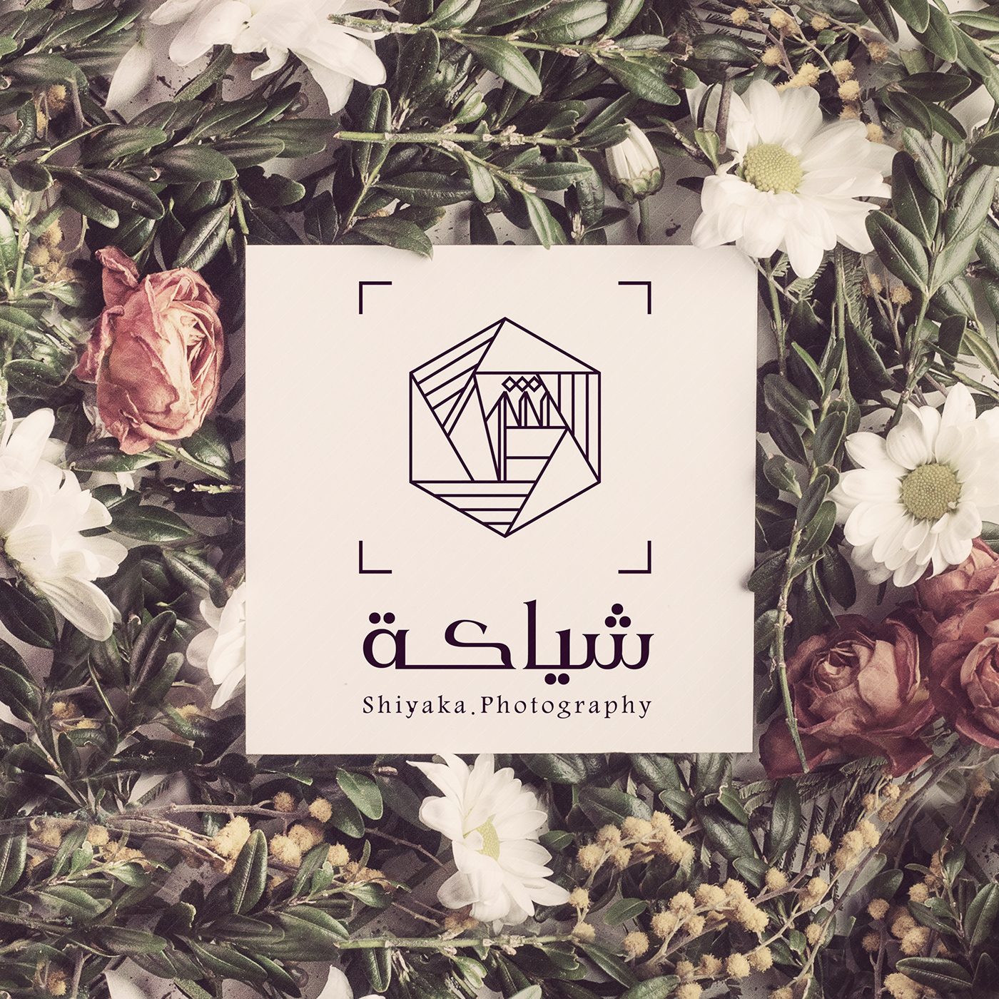 شياكة شعار عمان عبير النظيري logo identity Photography studio photography logo purpul abeer graphix