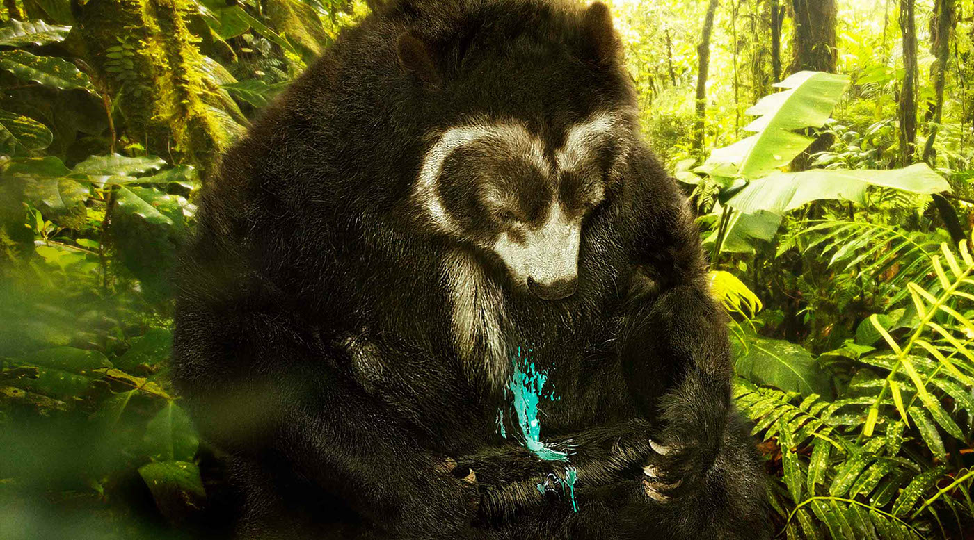 naturaleza Nature oso bear Mancha stain guacamaya parrot danta eco stain remover bosque forest tierra earth