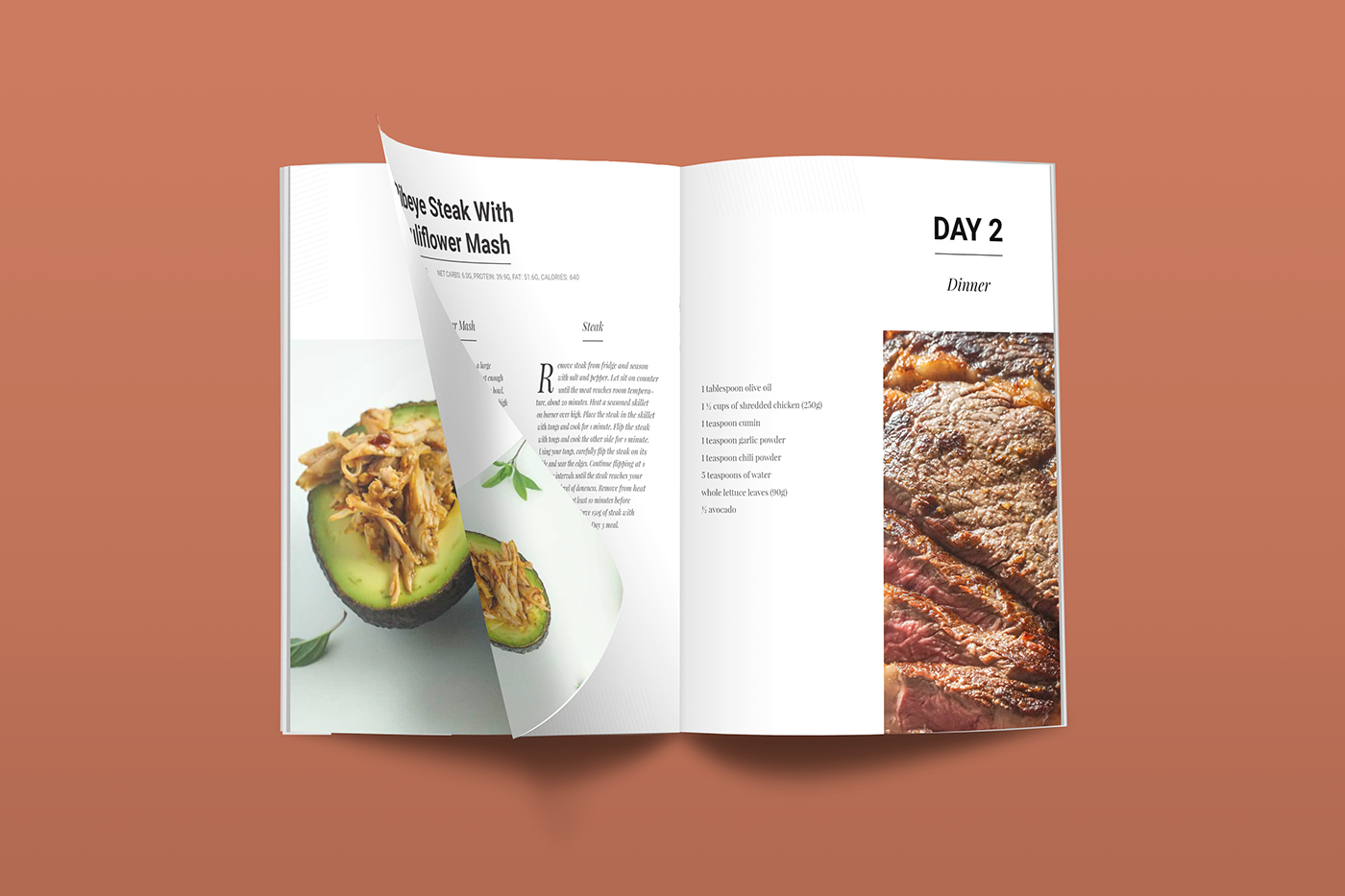 Layout magazine book ebook typography   color editorial print diet Guide
