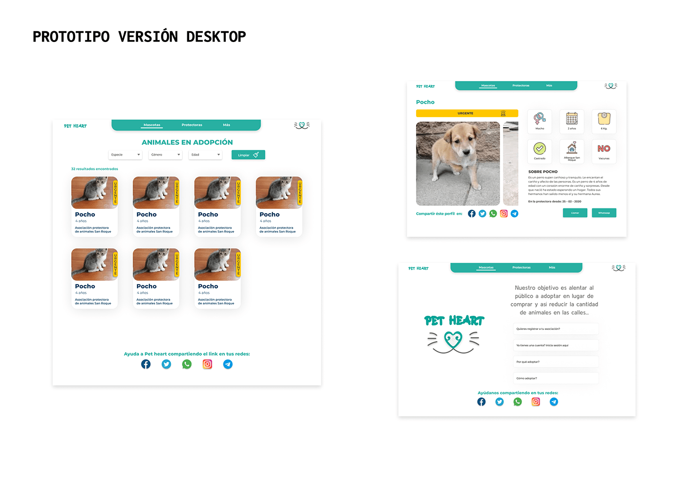 adopción Diseño UI gatos mascotas perros sitio web Sitio web de adopciones Pet