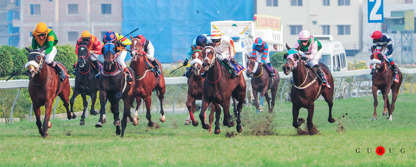 horse Horseracing newspaper Photography  print race sport sports