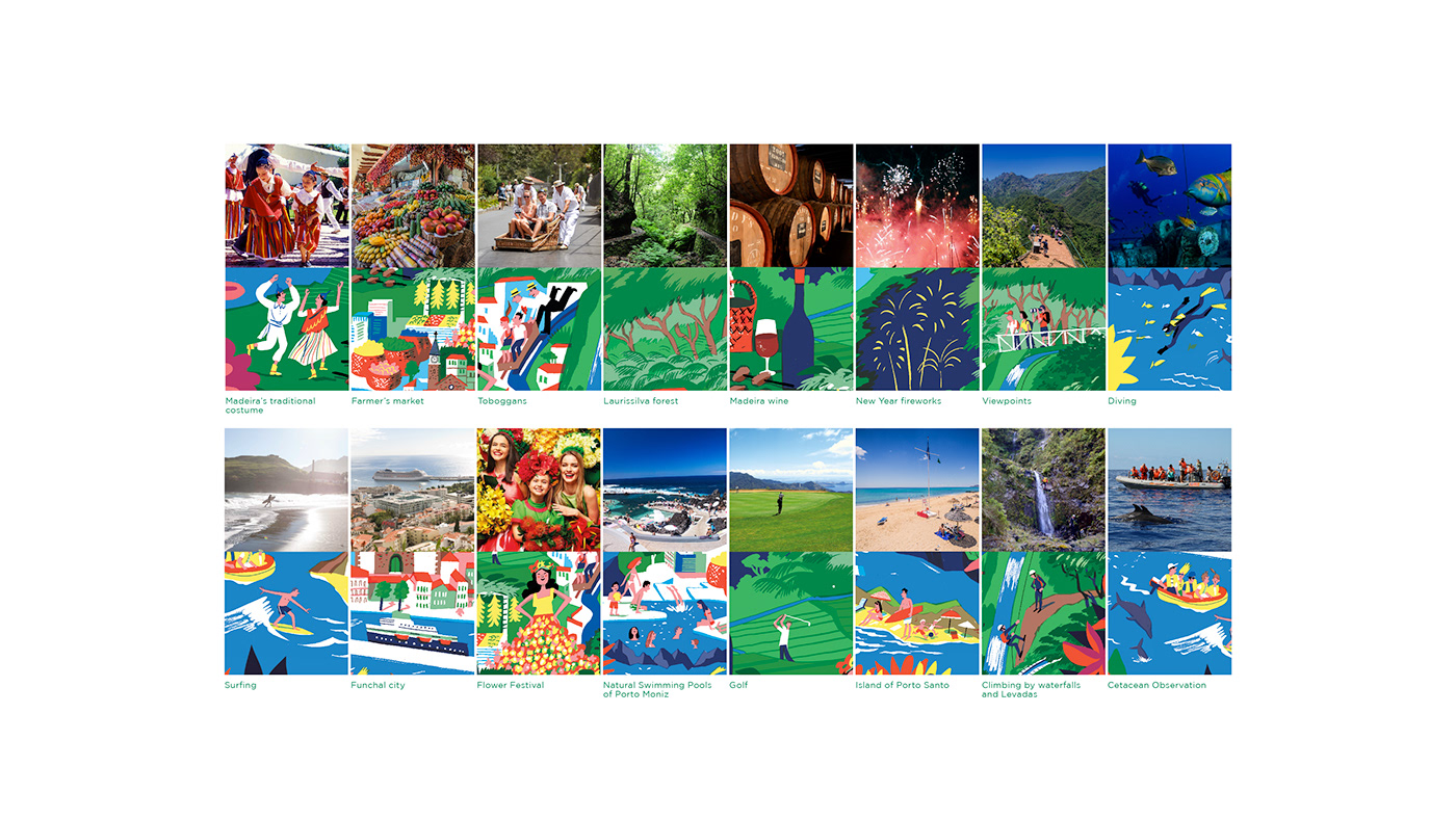 board game ILLUSTRATION  graphic design  Madeira turism press kit Portugal Travel