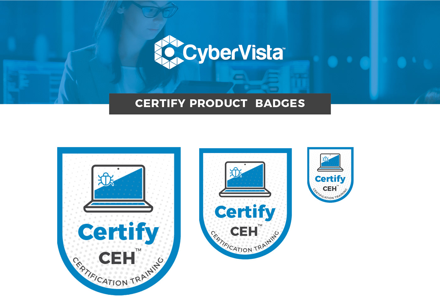 badge Icon cyber corporate product training design