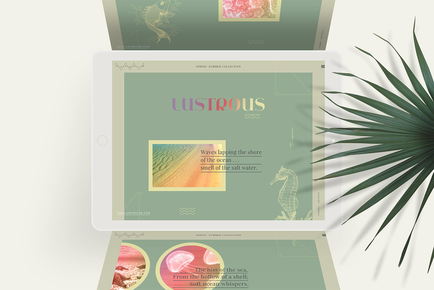 fashion website graphic design  montreal design ux/ui Aniimiism