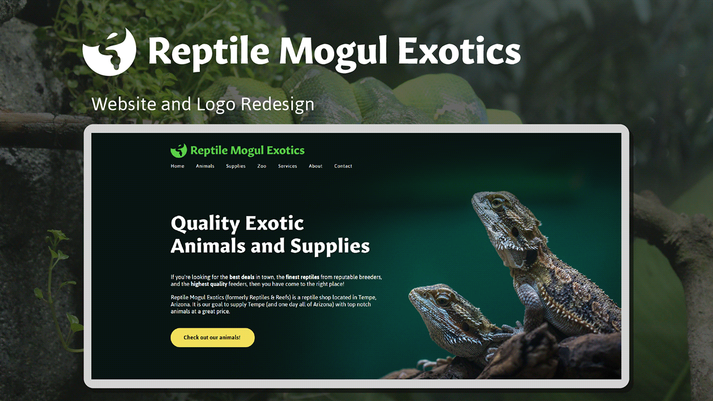 animal reptile