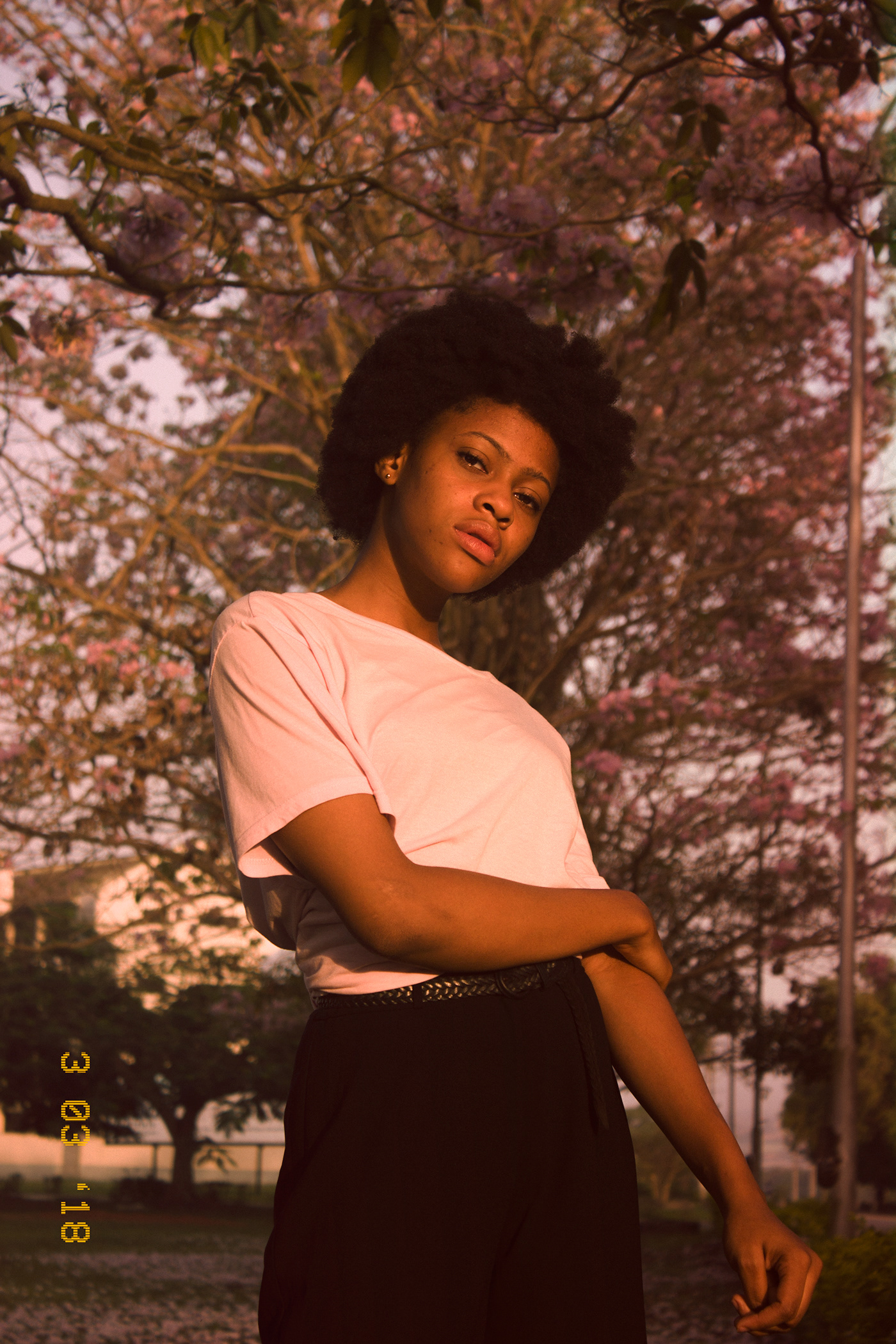 pink trees afro black girl portraits nigeria pink spring photography natural black hair